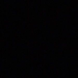 Meet your Posher, Tamara